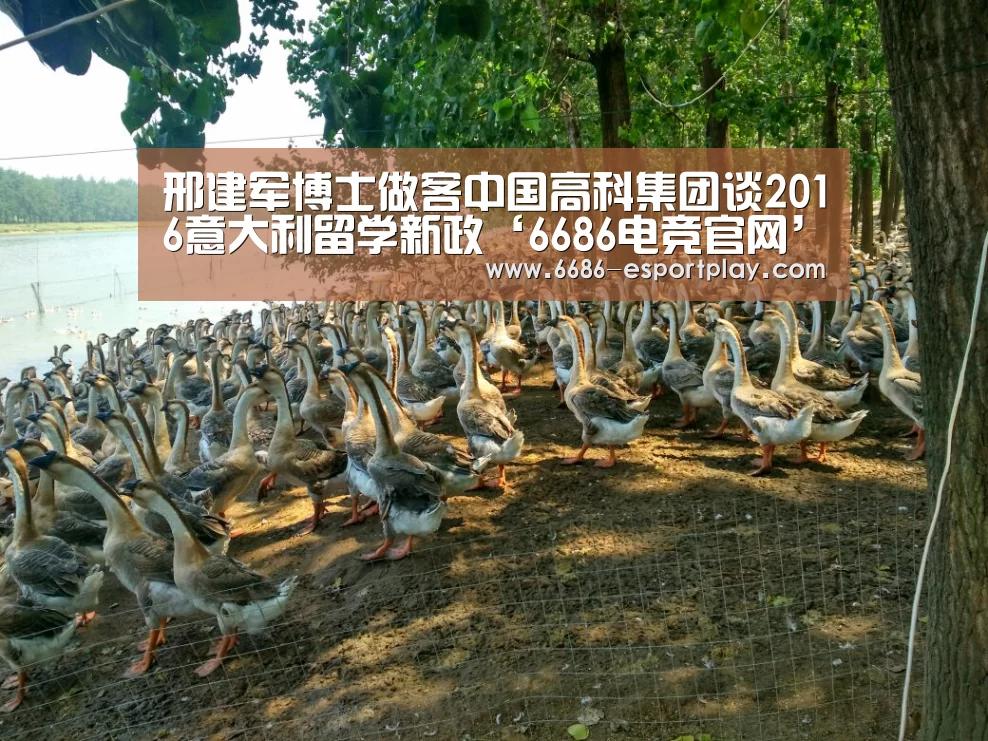 邢建军博士做客中国高科集团谈2016意大利留学新政‘6686电竞官网’(图2) 6686电竞官网