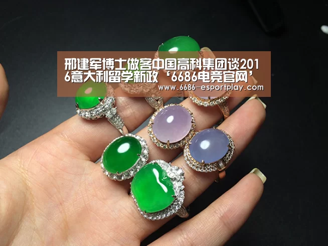 邢建军博士做客中国高科集团谈2016意大利留学新政‘6686电竞官网’(图3) 6686电竞平台