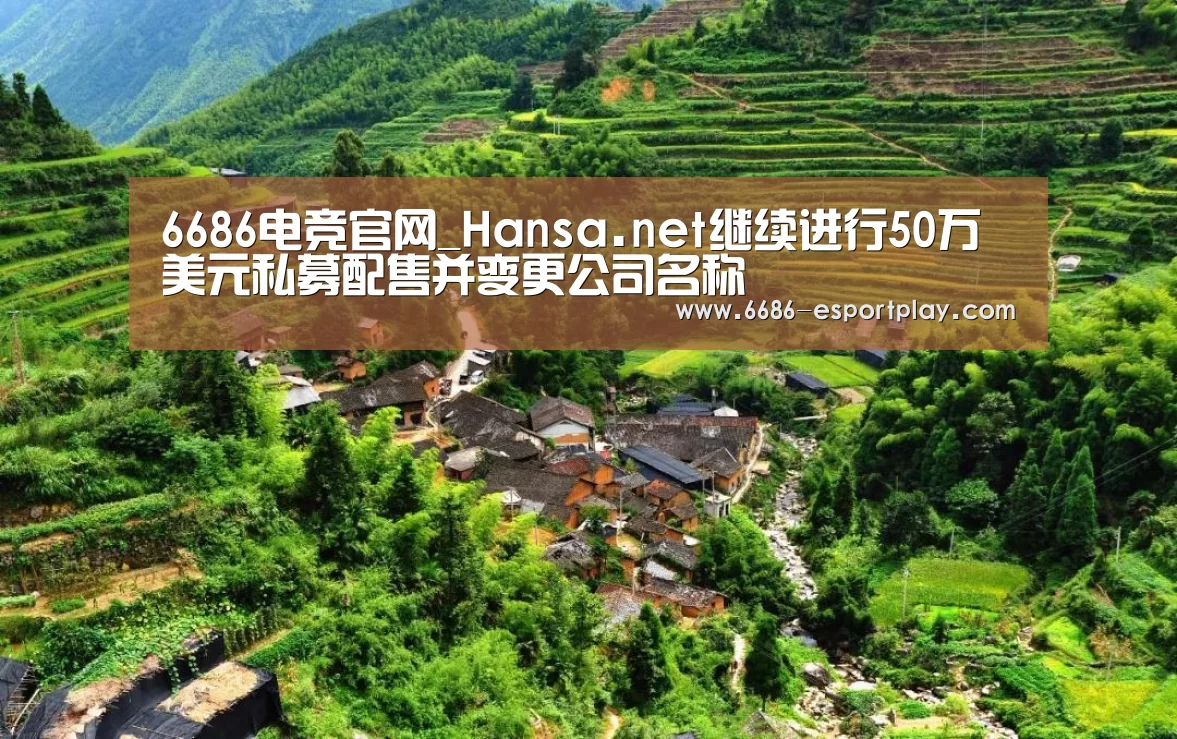 6686电竞官网_Hansa.net继续进行50万美元私募配售并变更公司名称(图2) 6686电竞官网