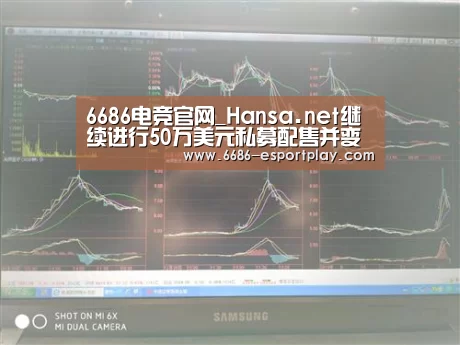 6686电竞官网_Hansa.net继续进行50万美元私募配售并变更公司名称(图1) 6686电竞平台