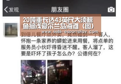 20吨重长达43英尺大须鲸鱼搁浅爱尔兰岛海滩(图)_6686赛事直播(图2) 6686电竞平台