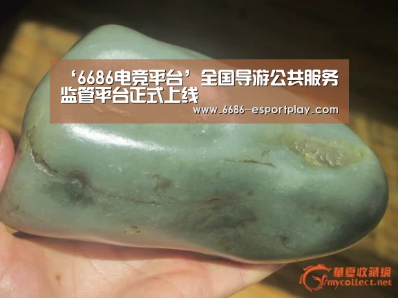‘6686电竞平台’全国导游公共服务监管平台正式上线(图2) 6686赛事直播