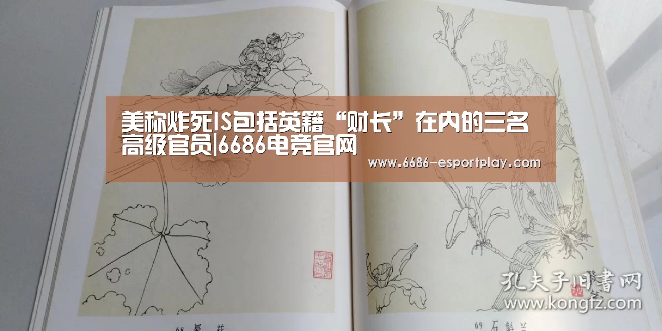 美称炸死IS包括英籍“财长”在内的三名高级官员|6686电竞官网(图1) 6686电竞官网