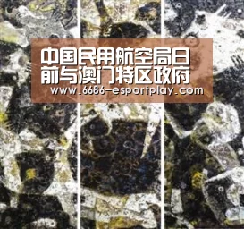 中国民用航空局日前与澳门特区政府民航局在澳门签署空管合作备忘录‘6686体育平台’(图3) 6686电竞官网