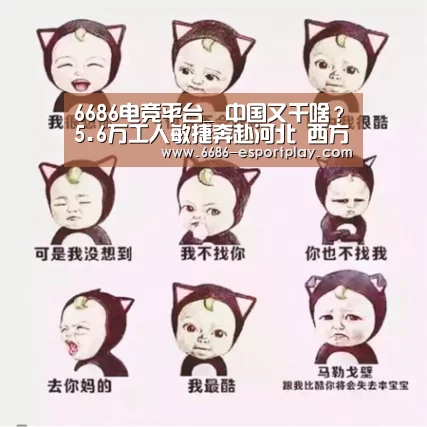 6686电竞平台_
中国又干啥？5.6万工人敏捷奔赴河北 西方各国：中国速度太逆