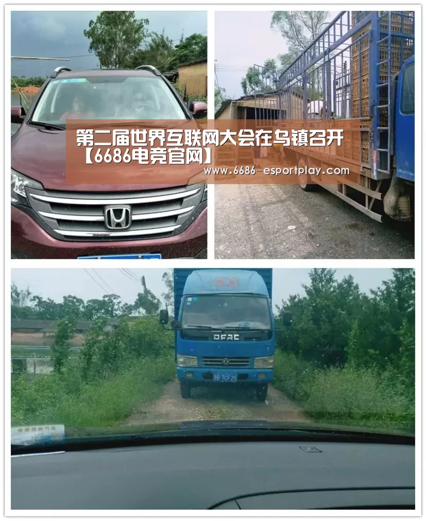 6686电竞官网