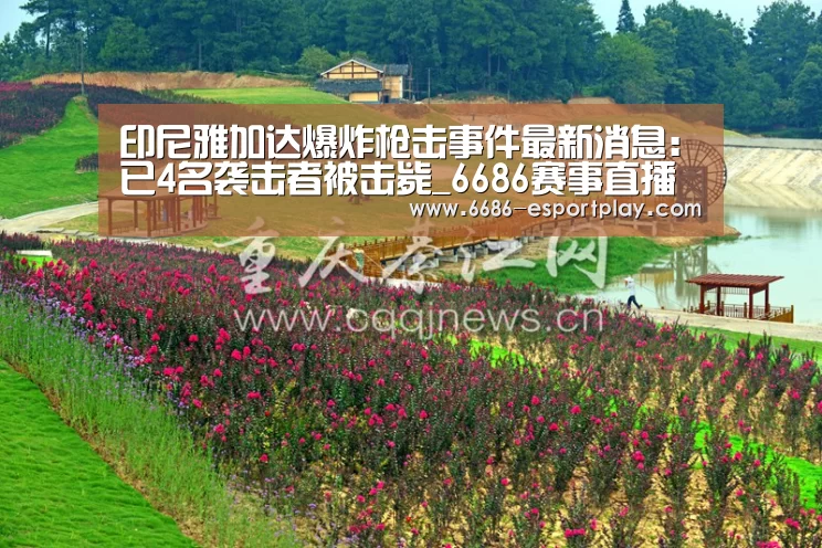 印尼雅加达爆炸枪击事件最新消息:已4名袭击者被击毙_6686赛事直播(图1) 6686电竞官网