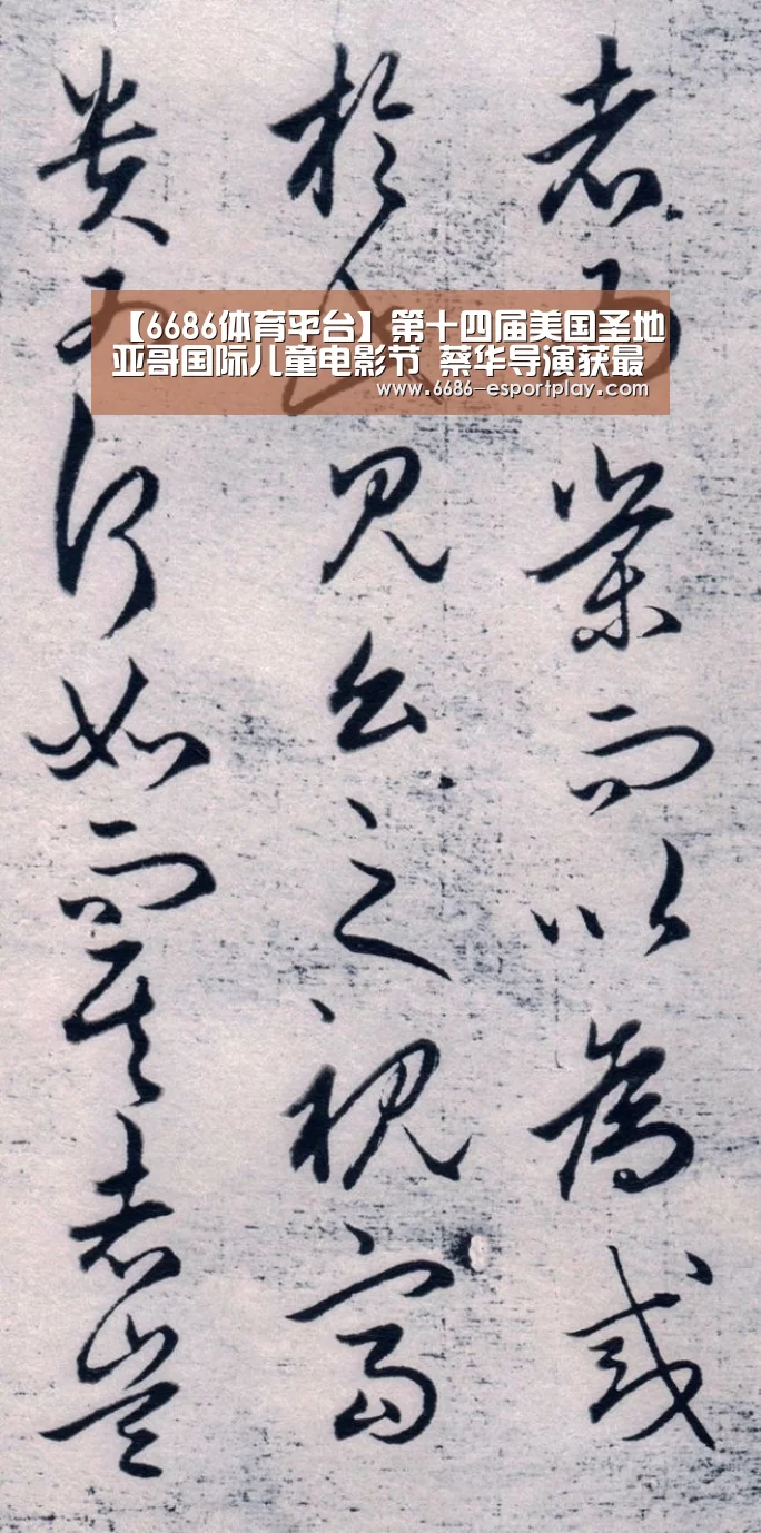 【6686体育平台】第十四届美国圣地亚哥国际儿童电影节 蔡华导演获最佳导演成就奖提名奖(图2) 6686电竞平台